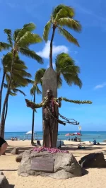 ハワイのコスメショップ Belle Vie（ベルヴィー）｜ハワイから日本へ